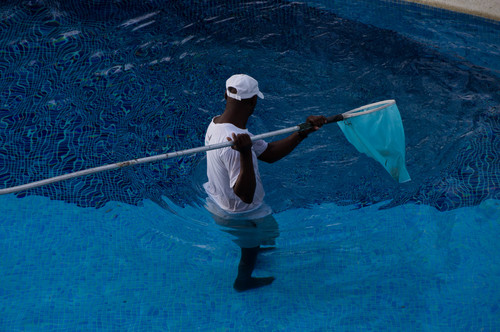 Pool Cleaner