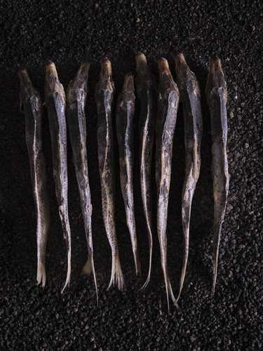 Dried Fish