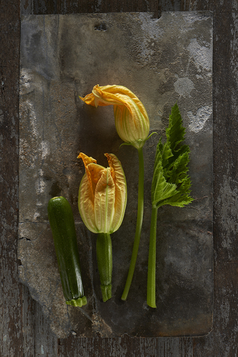 Courgettes, stages of growth