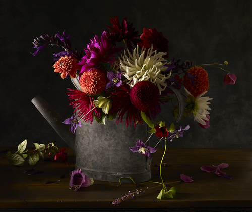 October garden flowers