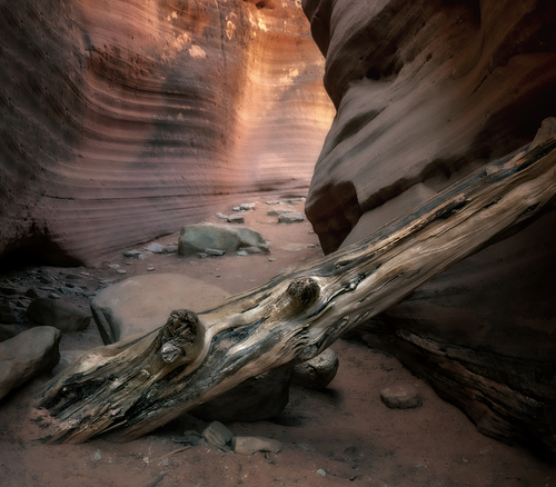Log in Slot Canyon