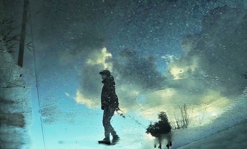 A dog named Puddles