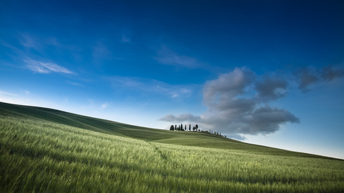 Fields of Tuscany