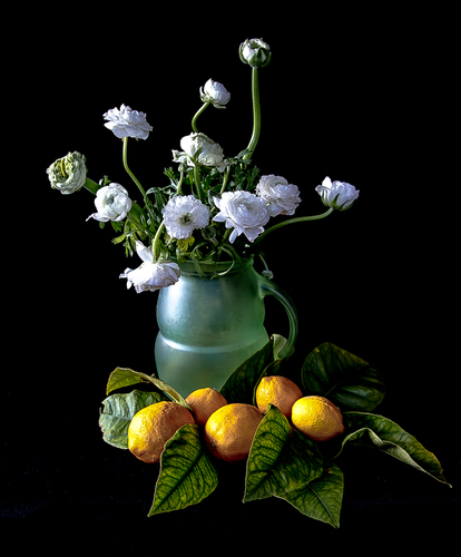 Still Life with Lemons