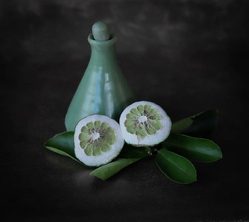 Shades of Green