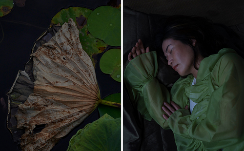 Sleeping Beauties 2