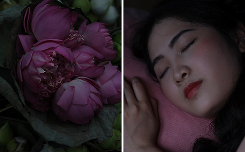 Sleeping Beauties 3