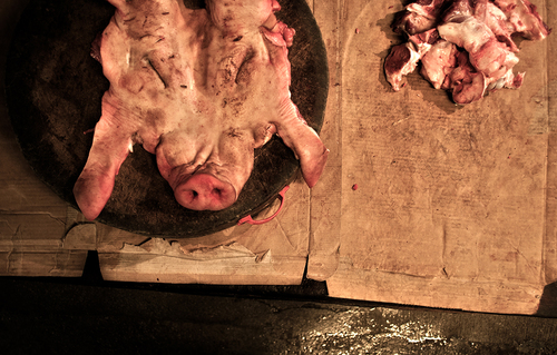 Pig or Pork