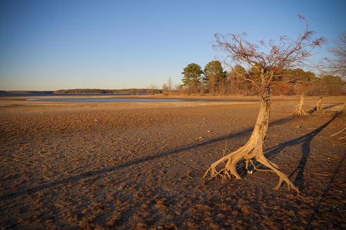 Texas Drought