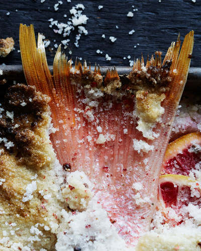 Salt-Encrusted Snapper