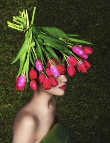 Bouquet of Tulips