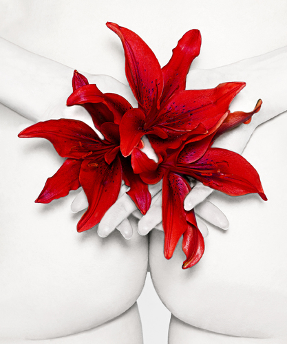 Red Lilly's