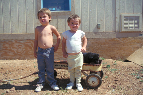 Two Boys with Their Wagon and Dog