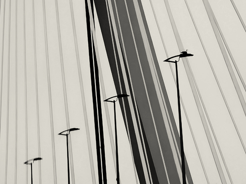 lines and lines