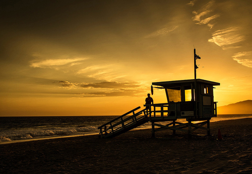 Lifeguard