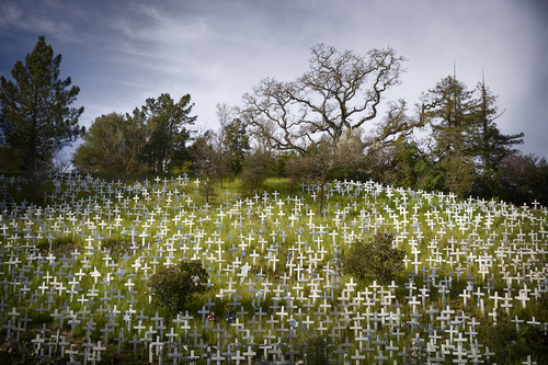 The Crosses of Lafayette