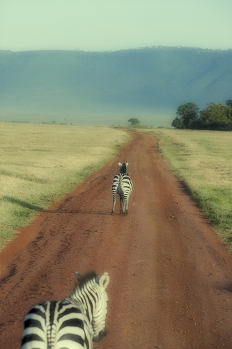 On The Road Again.