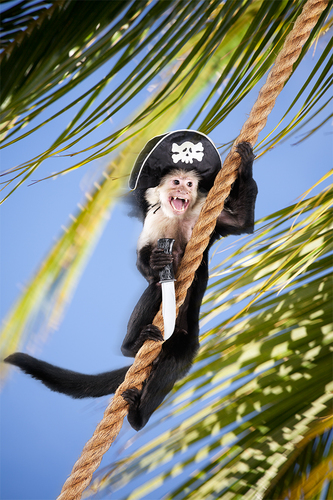 Arrrrgh!