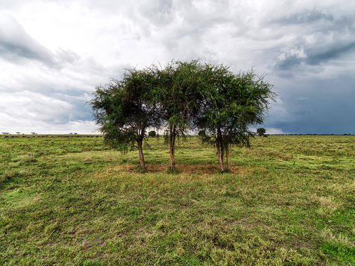 tanzania_262