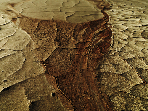 Mudcrack