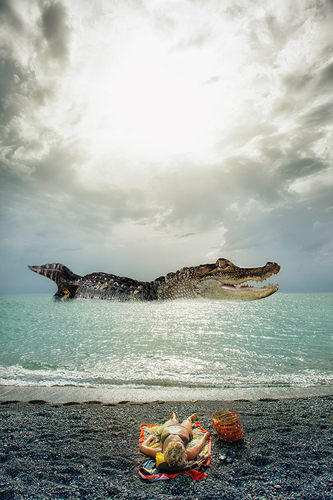 Gator A hoy!