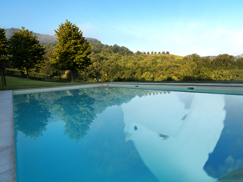 Regenerate Peace of Mind