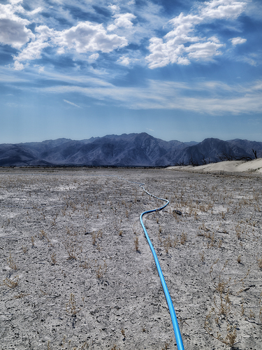 Water Hose Landscape