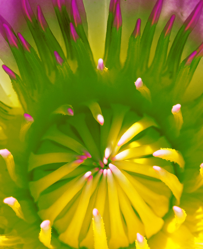 abstract 01