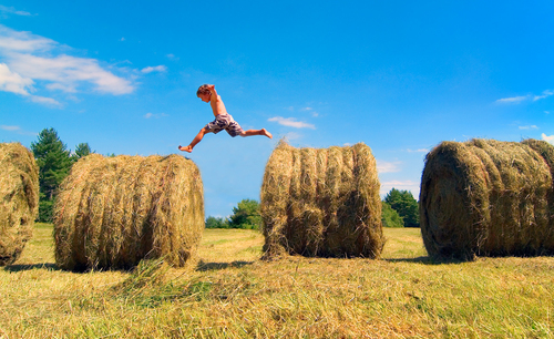 Hay Jumper