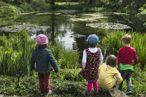 The Pond