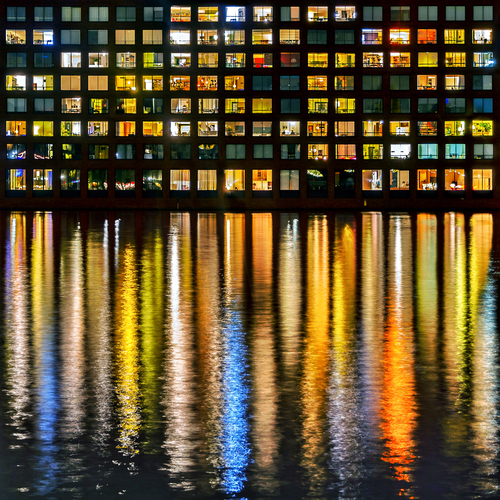 Paradise of Reflections