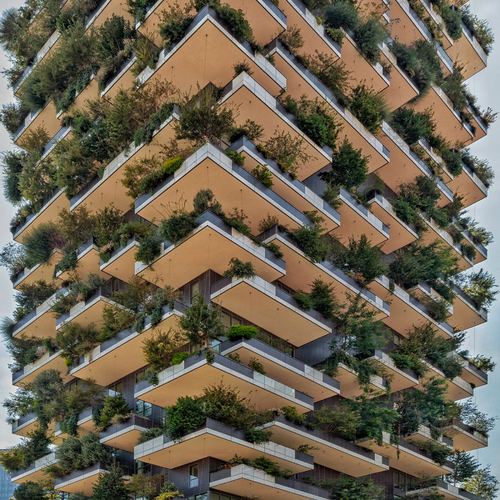 Urban Gardening