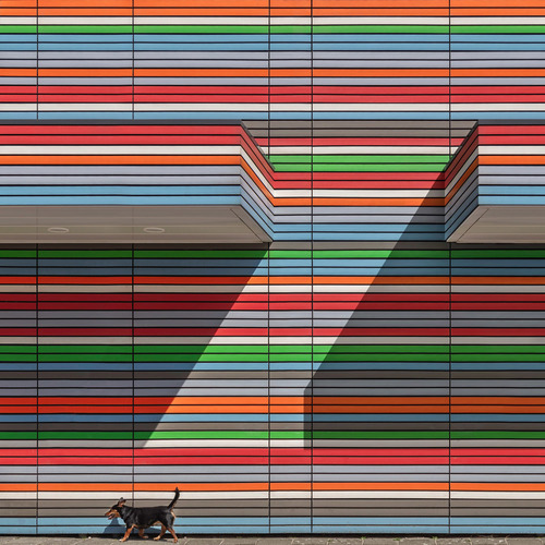 Walking the Line(s)