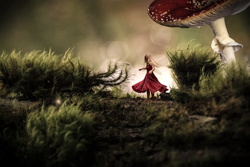 Mushroom Fairy