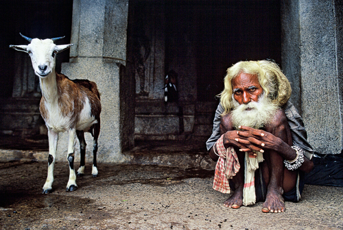 Goat and Hermit