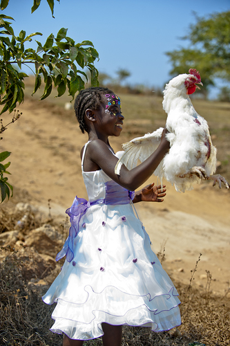 Walk with Chicken