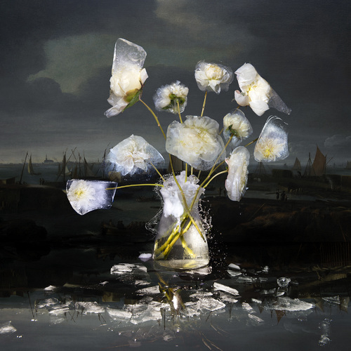 Ice Flowers