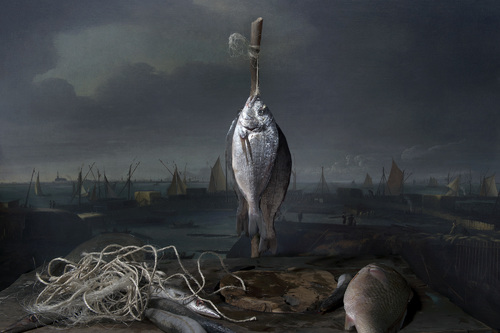 Caught fish, Zuiderzeedijk