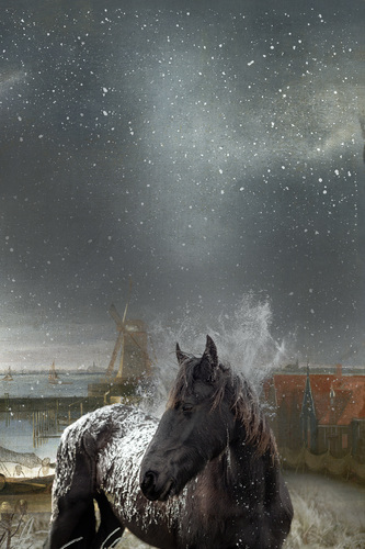 Horse in Winter