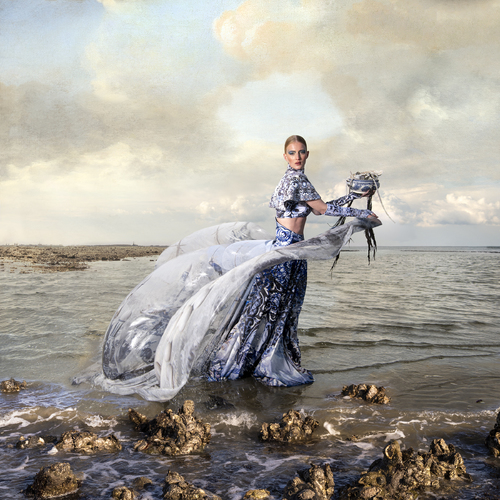 Oysterqueen in the sea