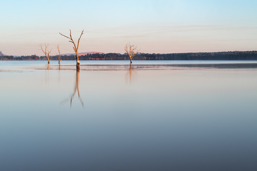 Lake Fyans sunrise