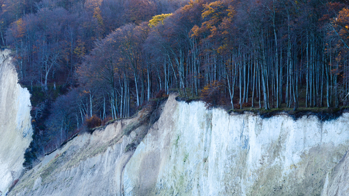 White Cliffs of Rugen