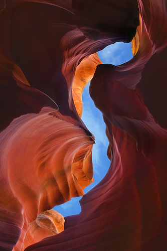 Earthly Embrace