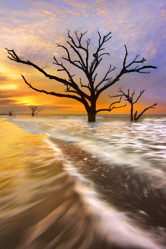 Tidal Trees