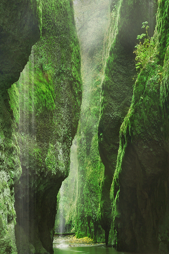 Gates of Eden