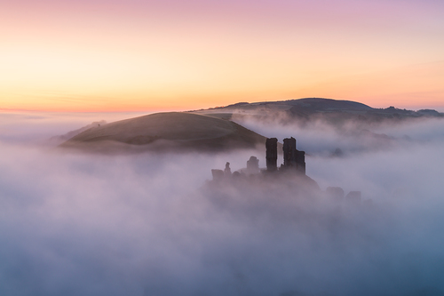 Misty Corfe
