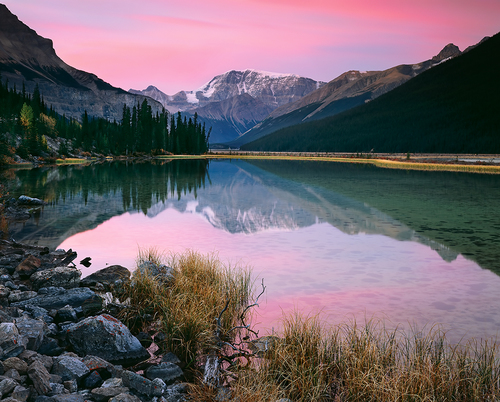 Beauty Creek