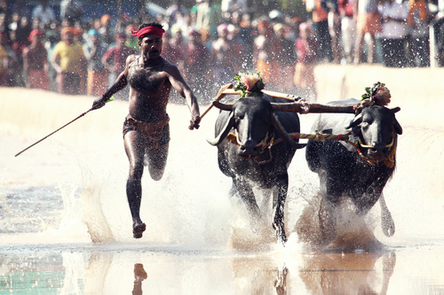 Usain Bolt of India!!