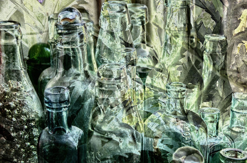How lush and lusty the glass looks! How green! - Shakespeare