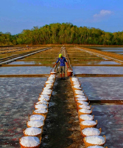 Salt Farm